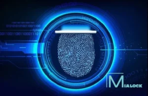 Công nghệ vân tay live scan là gì mặt trước
