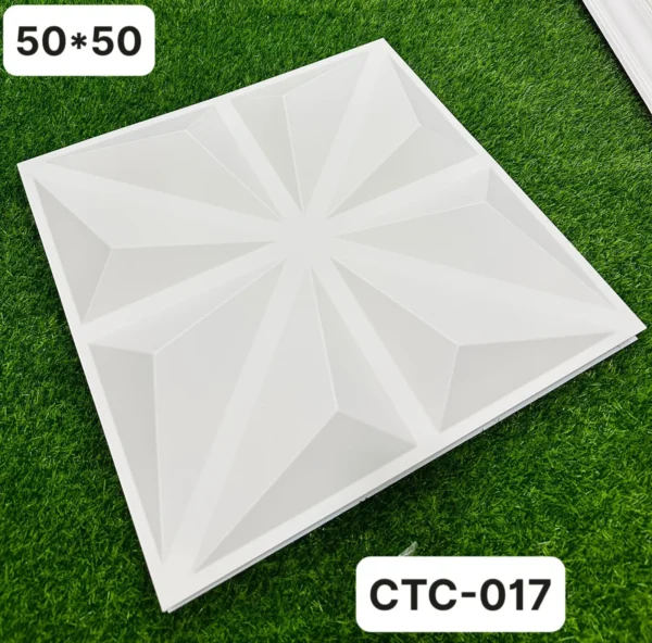 Tam nhua op tuong 3d mặt trước