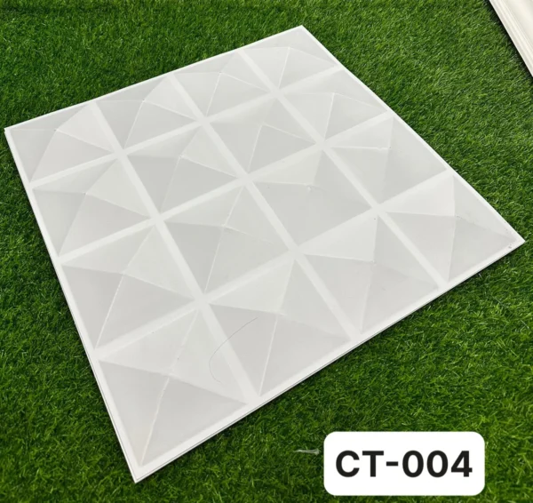 Tam nhua op tuong 3d mặt trước