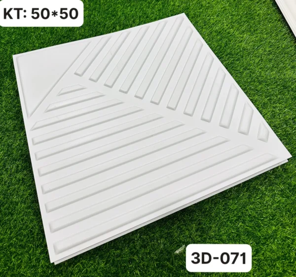 Tam nhua op tuong 3d mặt trước