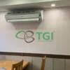 Tấm Ốp PVC Vân Gỗ 600mm TGW-8601 phía dưới