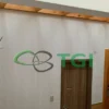 Tấm Ốp PVC Vân Gỗ 600mm TGW-8601 cận cảnh