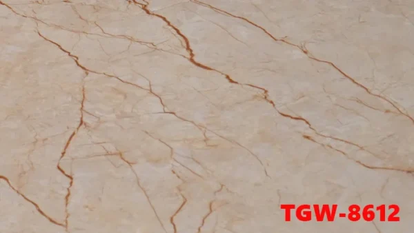 Tam op pvc van da mặt trước