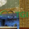 Đá hoa cương PVC TGP-9601 cận cảnh