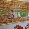 Đá hoa cương PVC TGP-9601 thu gọn