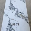 Tam nhua pvc gia da mặt trước