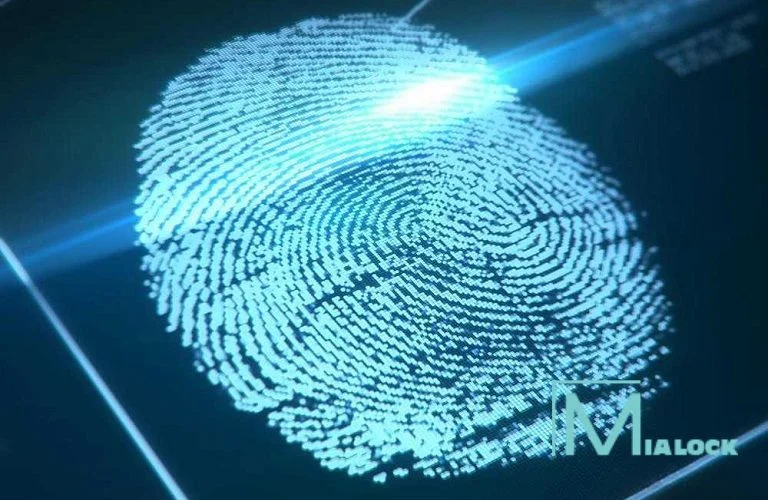 Công Nghệ Nhận Diện Vân Tay Live Scan Thực Hiện Xác Nhận Nhanh Chóng, Chính Xác, Chống Làm Giả Vân Tay