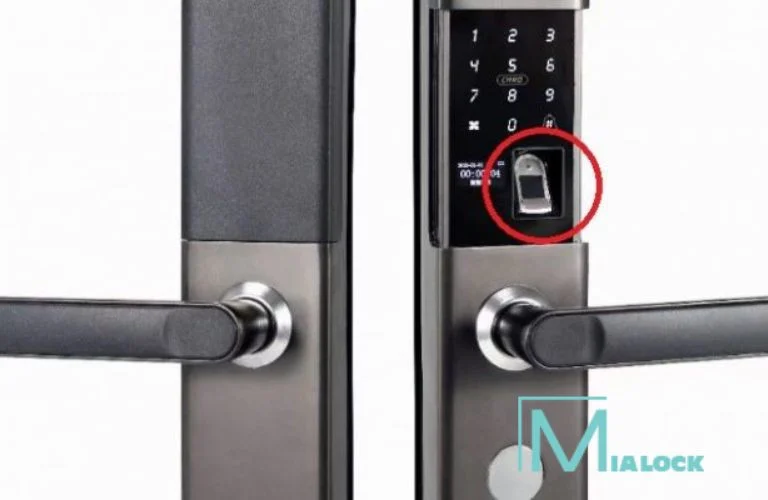 Khóa Cửa Sử Dụng Cảm Biến Vân Tay Quang Học, Hỗ Trợ Mở Khóa Nhanh Thuận Tiện