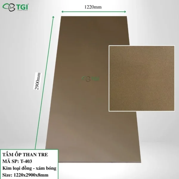 Tam op than tre 8mm mặt trước