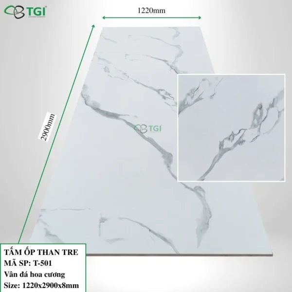 Tam op than tre 8mm mặt trước