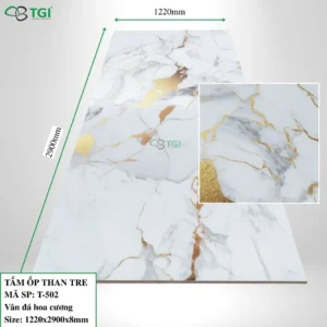 Tam op than tre 8mm mặt trước