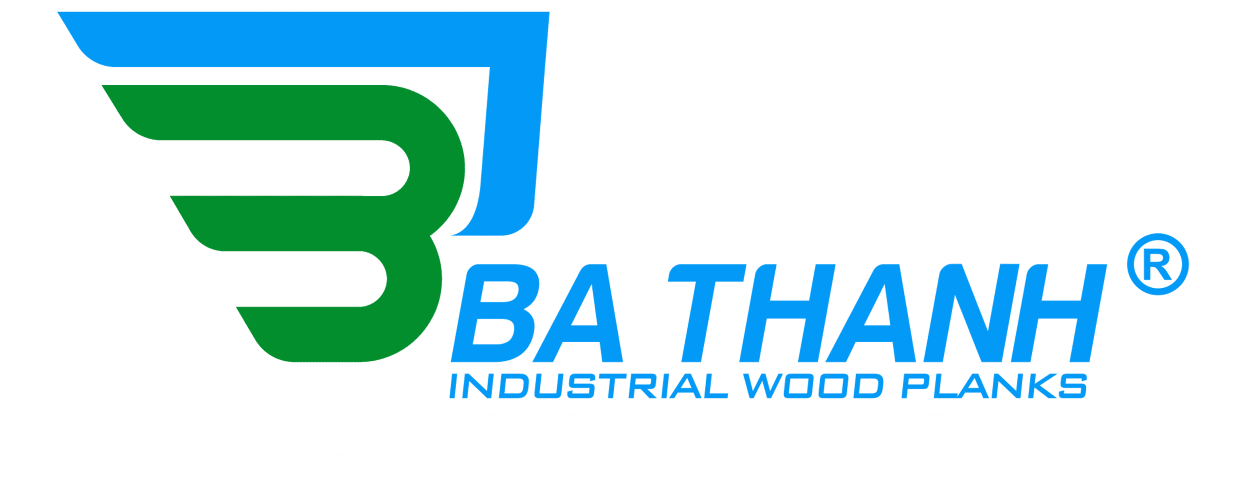 Partner Logo