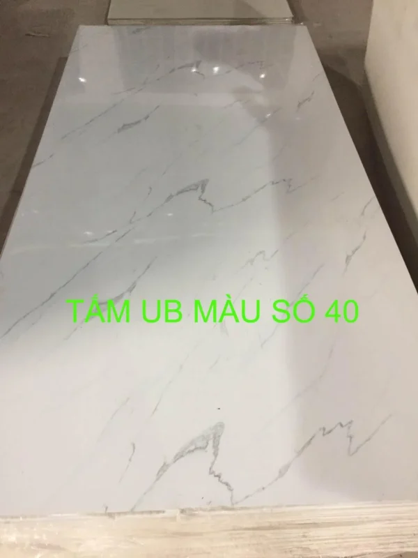 Tam nhua pvc gia da mặt trước