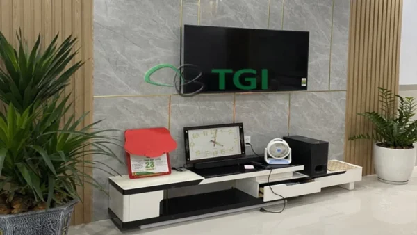 Đá hoa cương PVC TGP-9655 cận cảnh