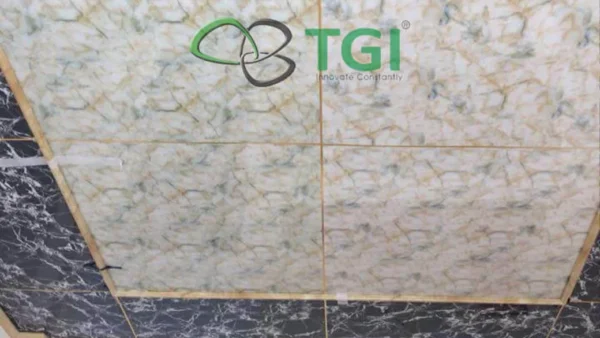 Đá hoa cương PVC TGP-9617 cận cảnh