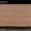 MDF phủ Melamine Moldau Acacia KES S6 29503MM mặt sau