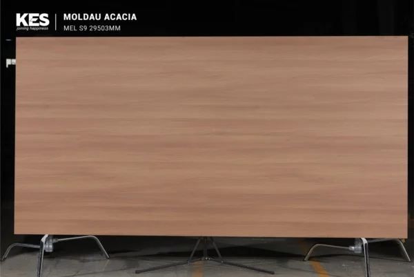 MDF phủ Melamine Moldau Acacia KES S6 29503MM mặt sau