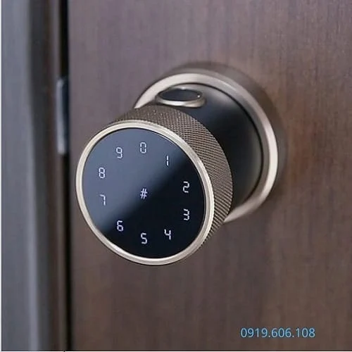 Khóa Thông Minh Cửa Gỗ MIA-WH06 Cao Cấp phía trên