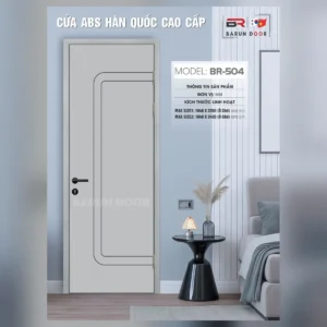 Cửa thiết kế BR-504