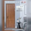 Cửa thiết kế BR-507