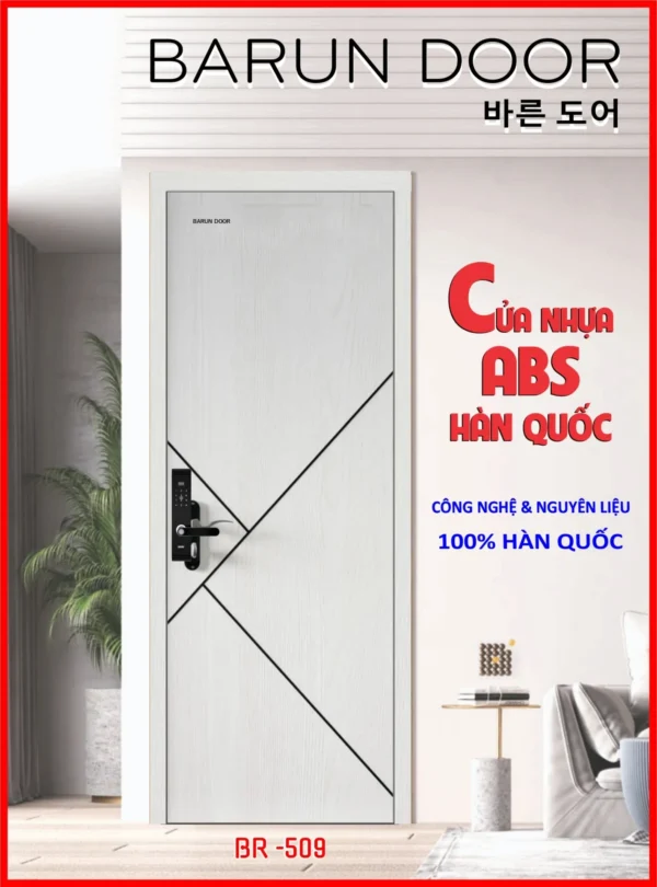 Cửa thiết kế BR-509 góc chụp khác