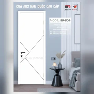 Cửa thiết kế BR-509