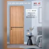 Cửa thiết kế BR-517