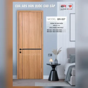 Cửa thiết kế BR-517