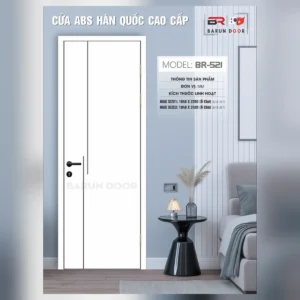 Cửa thiết kế BR-521