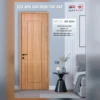 Cửa thiết kế BR-524