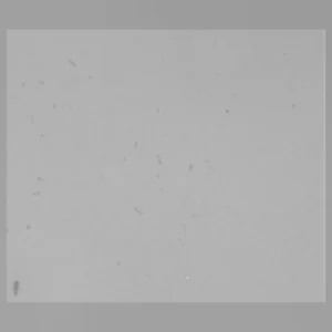 Tấm acrylic no line chống trầy lvh75 grey