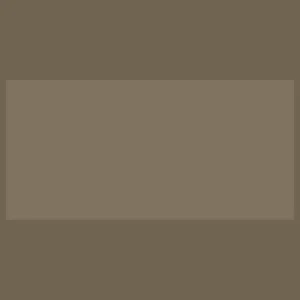 Tấm acrylic no line lv19 mocha