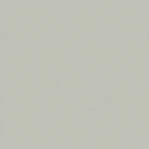 Tấm pet-g lt03 gray