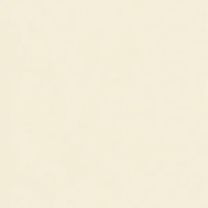Tấm pet-g lt148 bone